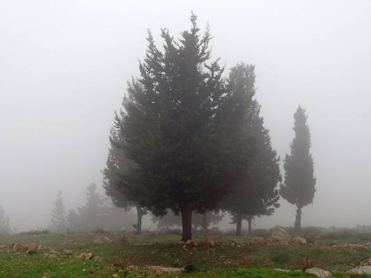 الاثنين :أجواء باردة وغائمة جزئيا وتحذيرات من تدني الرؤية