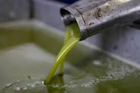 الغذاء والدواء تضبط (308) تنكة زيت زيتون مغشوش وتحيل (14) شخصا للمدعي العام على اثره