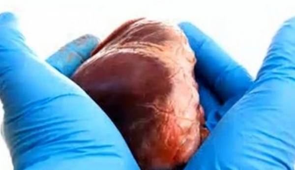 البث المباشر البحث ... تعيد النبض لقلوب الموتى... تقنية جديدة تنقذ آلاف المرضى