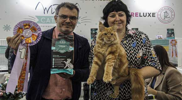 ألفا قط يتنافسون على عرش الجمال في موسكو (صور)