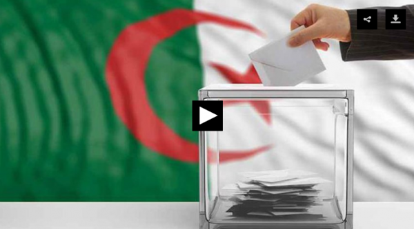 شاهد ماذا فعل الجزائريون الغاضبون بأوراق الانتخابات !