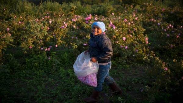 أربعة عناصر عربية قائمة على التراث الثقافي غير المادي لـاليونسكو