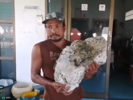 عامل نظافة محظوظ.. عثر على قيء حوت قيمته بمئات الآلاف