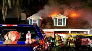 كلب ينقذ أصحابه من الموت حرقاً