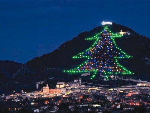 شاهد بالفيديو ..إيطاليا تضيء أكبر شجرة عيد ميلاد في العالم