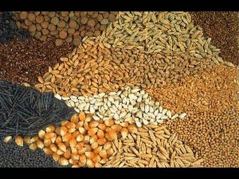 وزارة الزراعة تسمح باستيراد المواد العلفية من مصادر جديدة