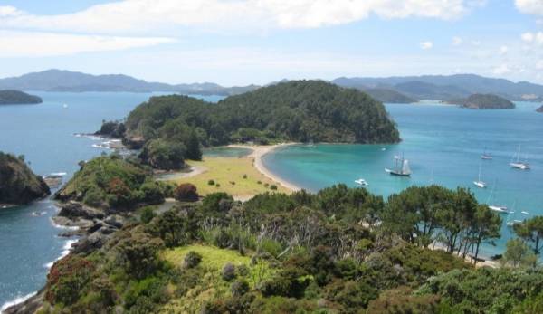 مليونير ألماني يبحث عن أصدقاء للعيش في جنته بنيوزيلندا