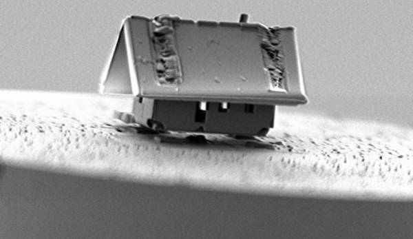 بالصورة.. ’أصغر بيت في العالم’ يحطم الأرقام القياسية