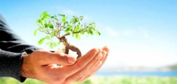 وزير البيئة .. والجمعيات البيئية