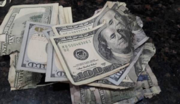 شاهد..فأر يجعل مواطن فلسطيني الأسوأ حظا بالعالم!