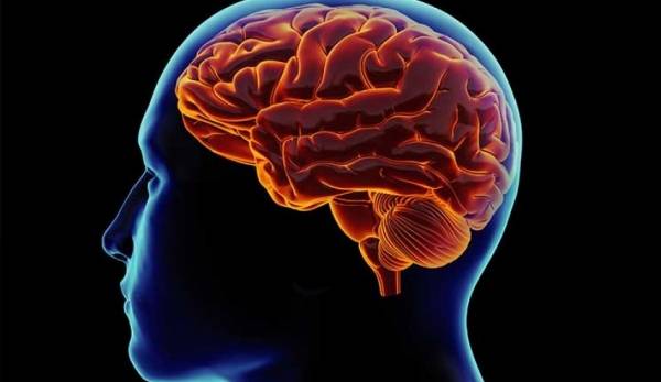 أطعمة تقتل الذكاء وتدمر العقل إحداها تستهلكها يوميا