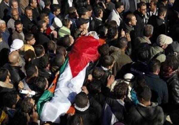 149 شهيدا فلسطينيا خلال 2019