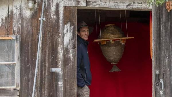 الرجل الذي يهمس في آذان النحل