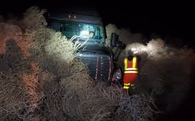 أكوام الحشائش تبتلع السيارات وتغلق الطريق