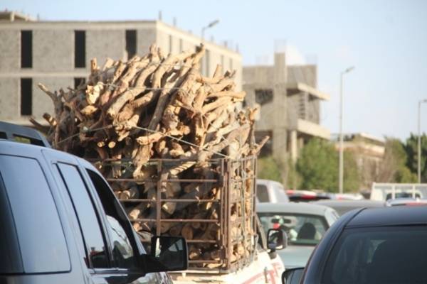 ضبط 10 سيارات محملة بالأحطاب