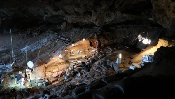 متى بدأ البشر الأوائل طهي الوجبات النشوية؟