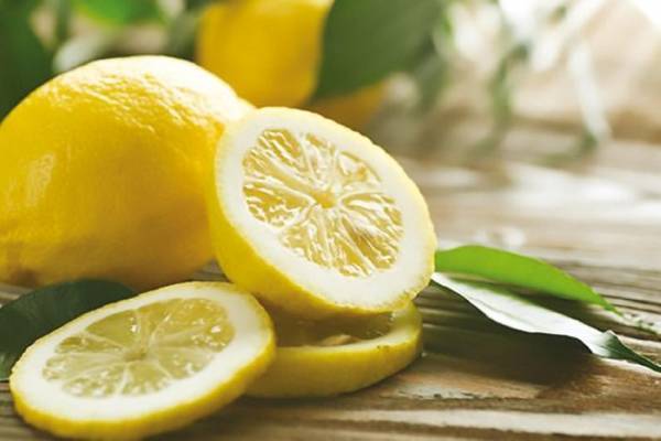 وقف استيراد الليمون.. يرفع سعره إلى 1.60 دينار للكيلو