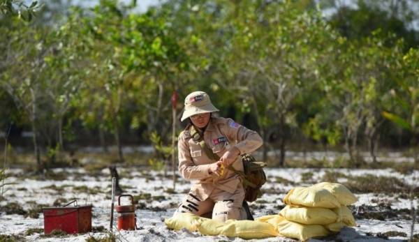 شاهد بالصور.. نساء فيتنام يعملن على إزالة الألغام رغم الأخطار