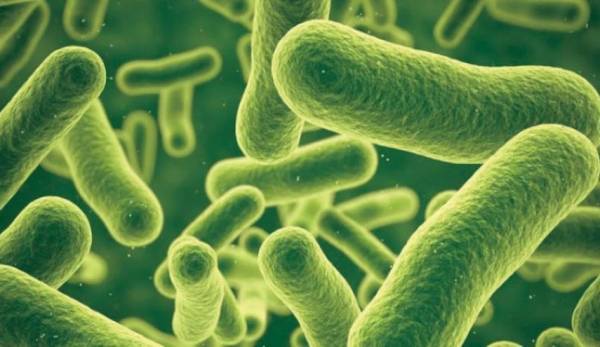 اكتشاف بكتيريا تساعد على التخلص من الضغط النفسي