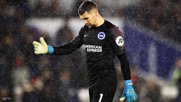 الصدة بـ500 دولار.. أغرب رهان لمساعدة ضحايا حرائق أستراليا