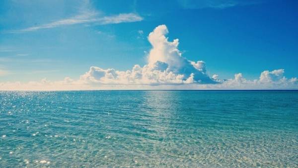 كشف أسرار صحراء تقع وسط المحيط الهادئ