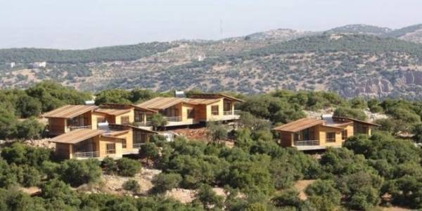 3ر1 مليون دونم الأراضي المسجلة حراجاً في المملكة