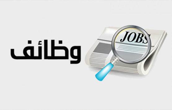 ٦٥٠ فرصة عمل