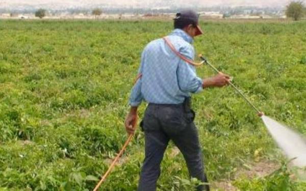 الاقراض الزراعي: خطة اقراضية بقيمة (49) مليون دينار