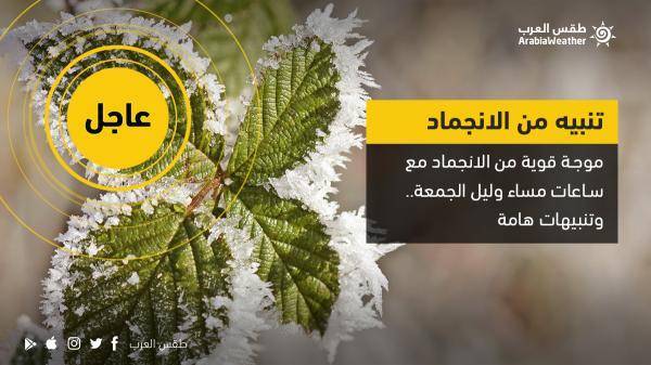 طقس العرب: موجة قوية من الجليد مساء الجمعة وليلة السبت