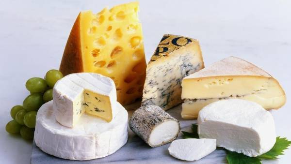 هرمون الإدمان اللذيذ.. تعرف على سر عشق العالم للجبن