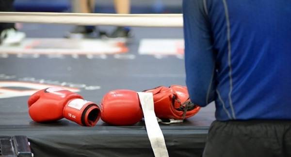 فيديو... ملاكم شهير يقتحم المدرجات ويعتدي على سيدة