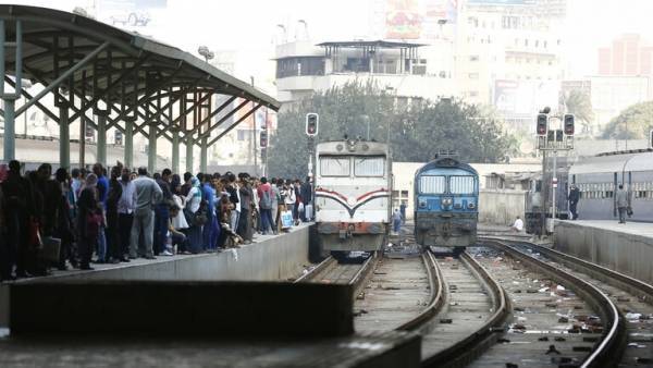 حمار يستقل قطار ركاب في مصر وصاحب الحيوان يهدد بالانتحار (صورة)