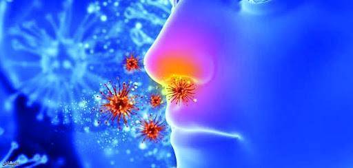 أخطر من فيروس كورونا ينتشر الآن... 22 مليون مصاب و12 ألف قتيل