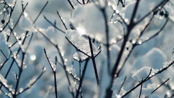 تعرف على موعد رحيل موجة البرد وحالة الصقيع عن المملكة