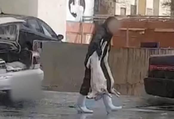 إحالة صاحب ملحمة إلى القضاء نقل اللحوم بــ كيا سيفيا (فيديو)