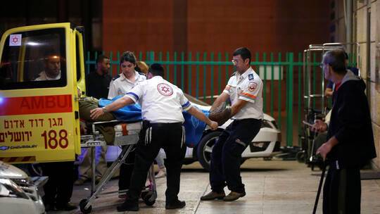 قط مدلل يدخل إسرائيليا المستشفى