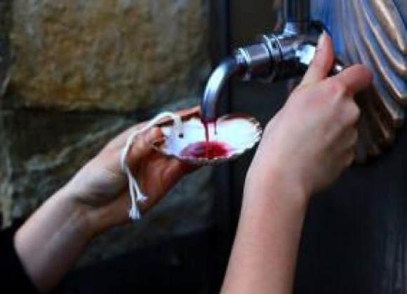 خطأ فني الصنابير تضخ نبيذا وليس مياه شرب في بلدة في إيطاليا