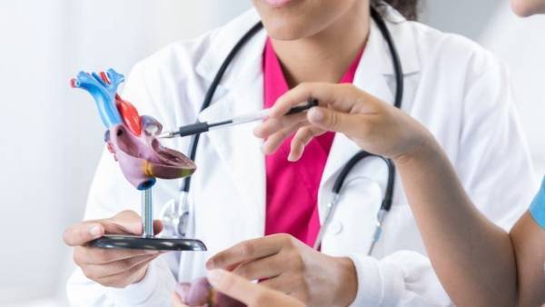 قلوب الرجال والنساء مختلفة عن بعضها.. في حركة تدفق الدم