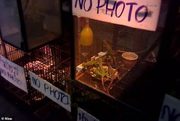 مشاهد سرية من سوق تجارة الحيوانات البرية تثير ذعرا.. وتوقعات بوفاة (60) مليون شخص