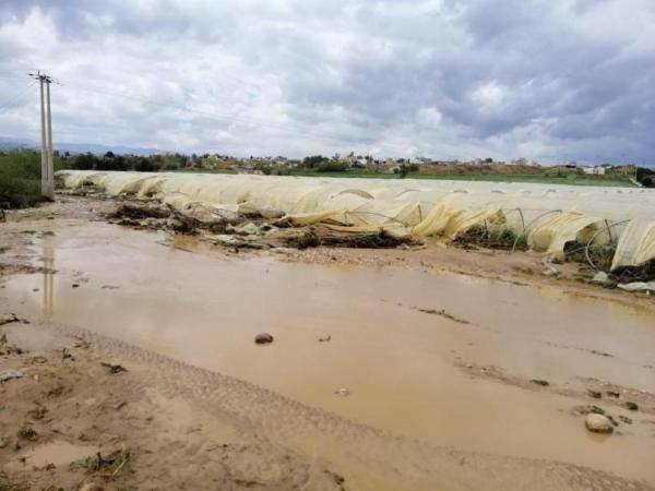 جلسة طارئة لاتحاد المزارعين في وادي الاردن