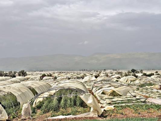 قروض سريعة لمزارعي الأغوار.. وقرار التعويض المرجو بيد مجلس الوزراء