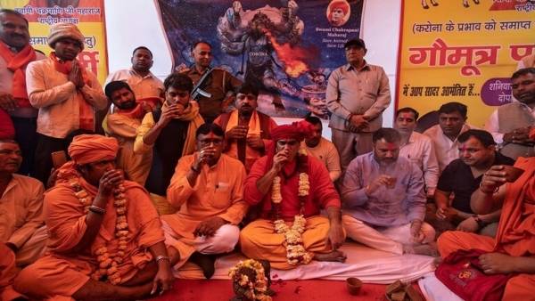 جماعة هندوسية تقدم بول البقر للمدعوين في حفل لعلاج كورونا