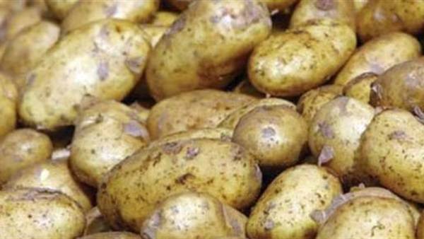 حاويات بطاطا عفنة تتحفظ عليها الزراعة وأنباء عن محاولات توسط لإدخالها.. والمجالي ينفي