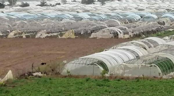 بيان..كارثة الأغور تؤثر على إمدادات السوق المركزي وترفع اسعار الخضار لأرقام خيالية