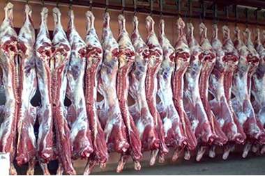 هذا ما استهلكة الأردنيين خلال اليوم من مسلخ عمان!!