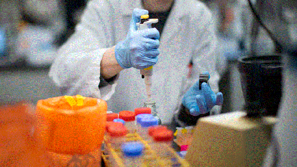الصحة العالمية: تطوير 20 لقاحا ضد فيروس كورونا