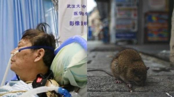 هانتا .. فيروس جديد يضرب الصين ويبدأ في حصد الأرواح