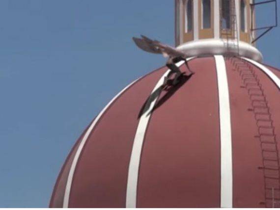 طائر نصف شيطان يظهر فى إيطاليا .. فيديو الحقيقة