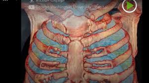 شاهد كيف يتغلل كورونا في الجسم!