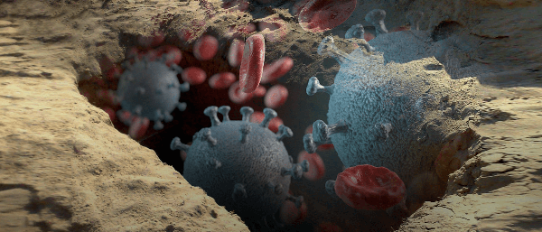 عميد كلية الشريعة الأسبق في الجامعة الأردنية.. يتحدث عن حكم  الدين في دفن متوفي كورونا